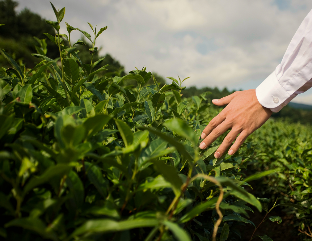 메인 비쥬얼 이미지
